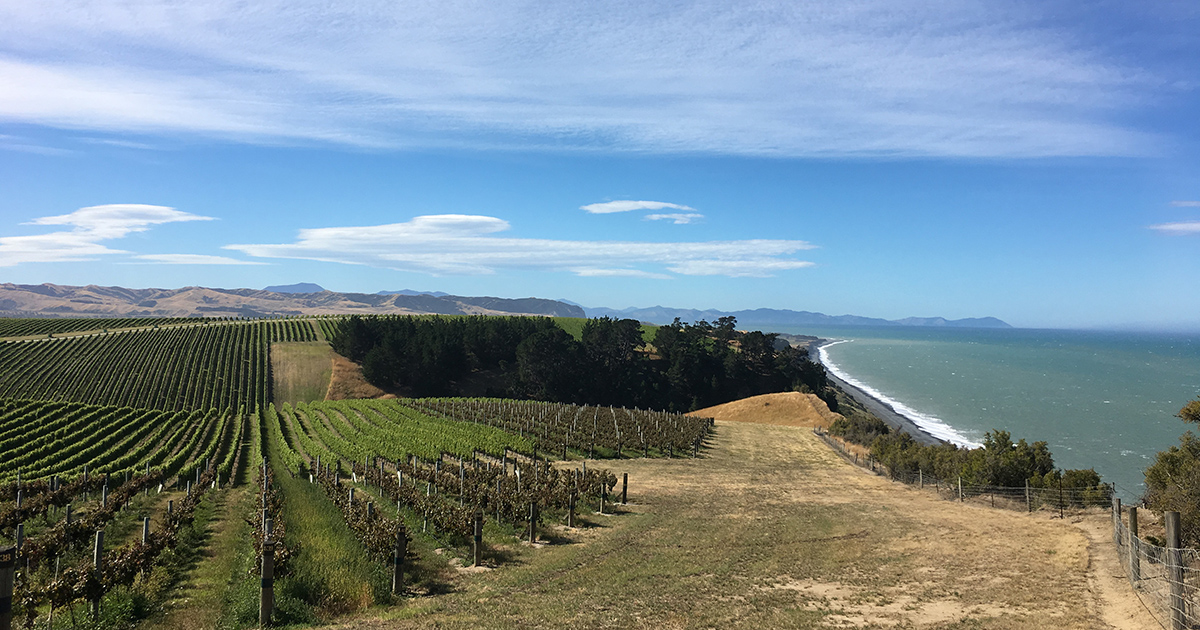 New Zealand Wine Week Virtual PróVinho